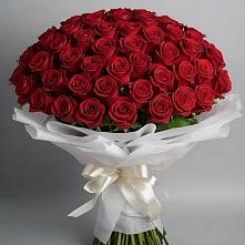 Букет 101 Красная роза Блэк Мэджик #REPLACE_PRED# Фрязево