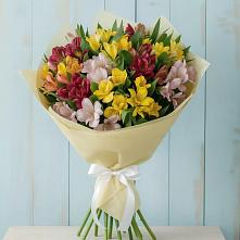 Букет цветов из:  Альстромерии во Фрязево