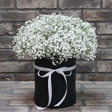 Цветочная композиция из Гипсофила в шляпной коробке во Фрязево