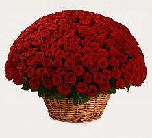 Премиум букет из: Розы во Фрязево